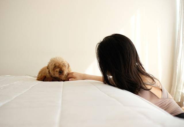 꼬질꼬질하지만 귀엽고 사랑스러워! 보호자 제공