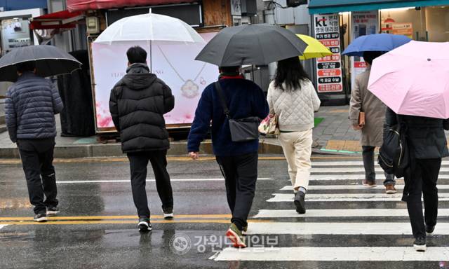 ▲ 봄비. 강원도민일보 자료사진