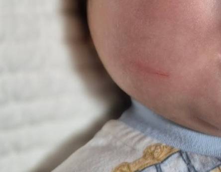 사진=SNS 갈무리