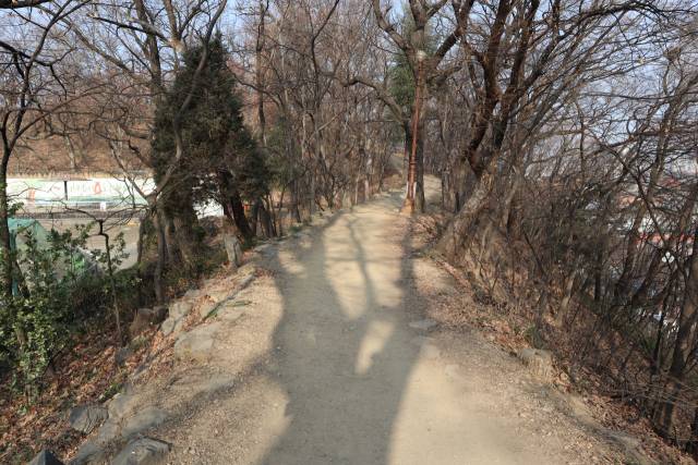 성곽길 위로 길게 드리운 나무 그림자가 달구벌 선조의 모습처럼 느껴진다.