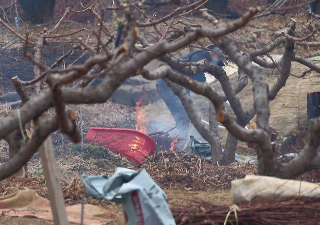'불법 소각 행위 적발' (대구=연합뉴스) 박세진 기자 = 26일 대구 동구 신평동 한 텃밭에서 어르신이 나뭇가지를 태우고 있다. 2026.2.26 psjpsj@yna.co.kr