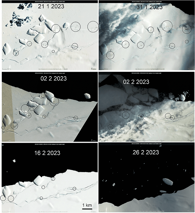 점점 깨지는 해빙. 사진 속 검은 원은 털갈이 중인 황제펭귄이다. (사진 Fretwell, P.T. Discovery of Antarctic moulting sites in satellite imagery reveals new threat to emperor penguins)/뉴스펭귄