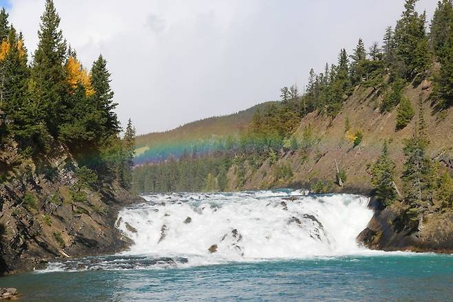 캐나다 알버타주 보우 폭포 / 사진= 언스플래쉬