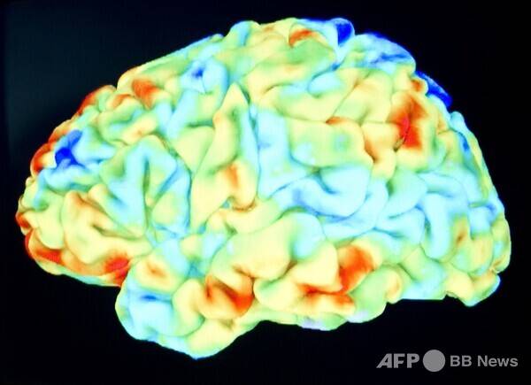 사진은 칼럼 내용과 관련 없는 참고용입니다. 사진제공=ⓒAFPBBNews = News1 (사진을 무단으로 사용하지 마십시오)