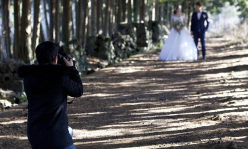 샤이니숲길은 삼다수 목장 근처에 있는 작은 숲길이다. 전해오는 이야기로, 빛이 아름다워 ‘샤이니숲길’이라 불린다. 짧은 숲길이지만 이곳에서만 볼 수 있는 아름다운 자연 풍광으로 많은 사람들이 찾는다. 날씨에 관계 없이 언제 찾아도 인생샷을 남길 수 있다.
