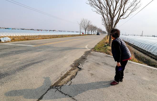 전북 A시의 한 국도 위에서 한 주민이 위태롭게 도로를 건너고 있다.이곳은 봄에는 이팝나무, 가을에는 코스모스가 핀 도로. 시속 60km 구간이지만 지키는 차량들이 별로 없다. 인근 주민들은 이곳을 산책을 하다가 교통사고를 당하기도 했다. / 김영근 기자