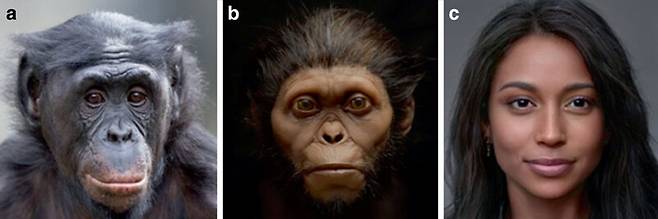 침팬지와 오스트랄로피테쿠스, 현생 인류의 얼굴 비교. KZfSS Kölner Zeitschrift für Soziologie und Sozialpsychologie