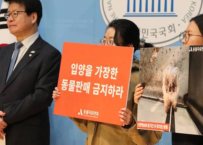 6일 동물자유연대와 임호선 더불어민주당 의원, 신종 펫샵 피해자들은 국회에서 공동 기자회견을 열었다(동물자유연대 제공). ⓒ 뉴스1