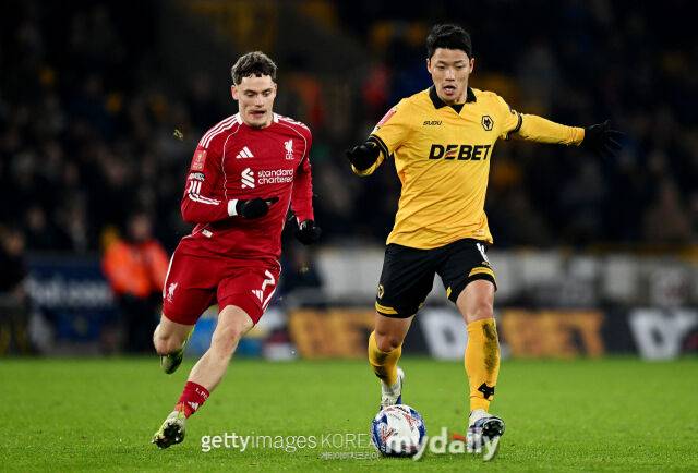 황희찬/게티이미지코리아