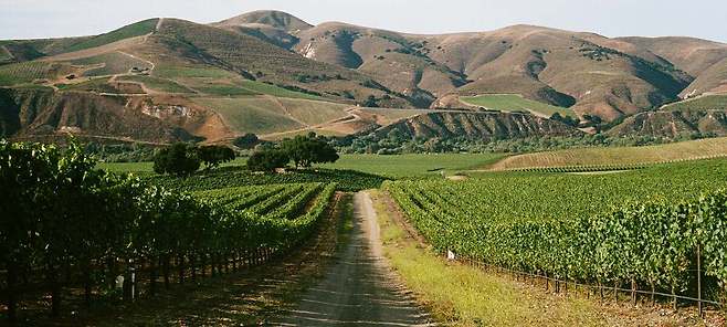 산타 리타 힐스. 산타바바라와인협회
