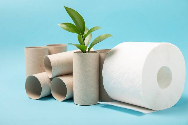 휴지심은 쓸모없다는 이유로 버리는 사람이 많지만 창틀의 먼지나 옷장의 습기를 제거하는 등 효과가 있다. 사진=게티이미지뱅크