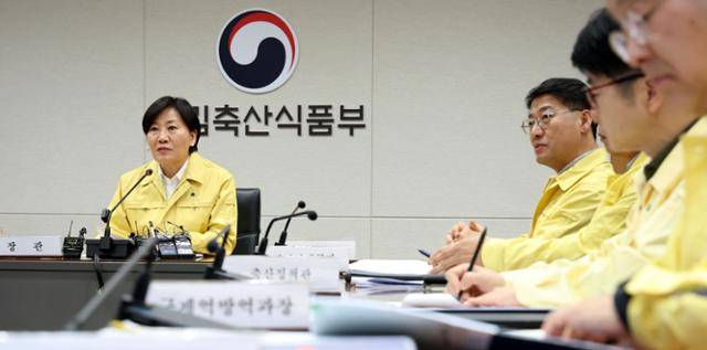 송미령(맨 왼쪽) 농림축산식품부 장관이 지난달 2일 정부세종청사 재난상황실에서 가축전염병 중앙사고수습본부회의를 주재하며 방역 상황을 점검하고 있다. 세종=뉴스1