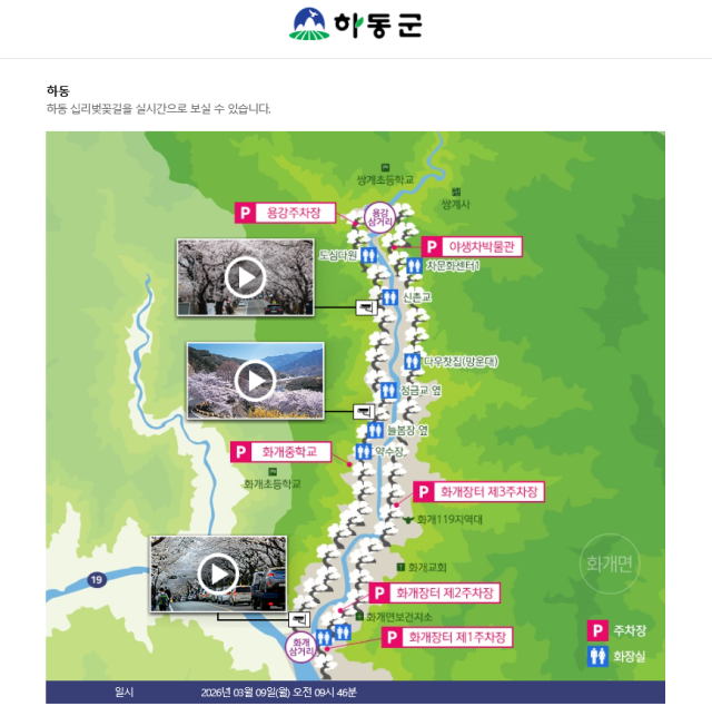 하동군청 홈페이지 벚꽃 개화 실시간 서비스./하동군/