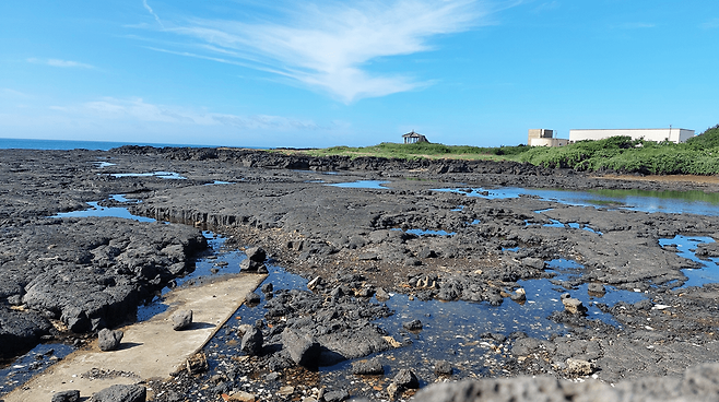 덩개해안 바당빌레.