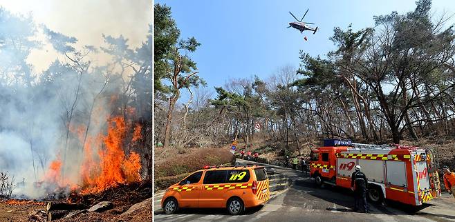 ▲ 12일 오전 수원시 팔달구 옛 경기도청 인근 팔달산에서 방화로 추정되는 화재가 발생한 가운데 소방헬기가 현장에 물을 뿌리고 있다. /김철빈 기자 narodo@incheonilbo.com·경기도소방재난본부