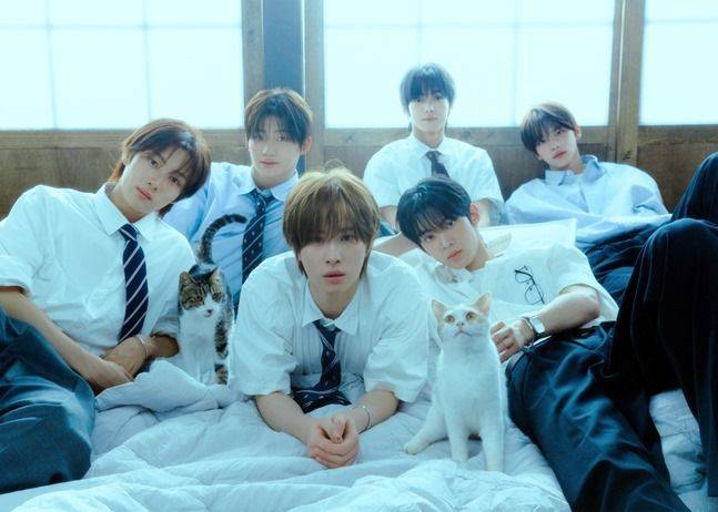 투어스 ⓒ플레디스