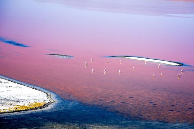 김성태씨 사진이 게재된 내셔널 지오그래픽 트래블러 2024년 1월호.