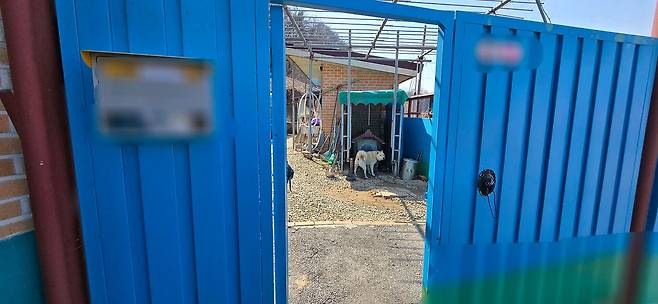 A씨(60대)가 90대 노모와 단둘이 살던 집. 열린 대문 사이로 개 한 마리가 으르렁거리고 있다. 김준희 기자