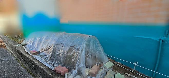 A씨가 집 옆에 만든 작은 비닐하우스. 그 안에서 채소가 크고 있다. 김준희 기자