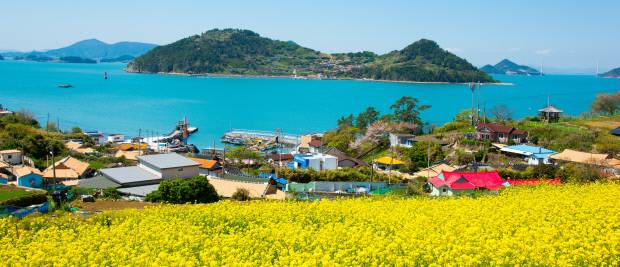 유채꽃이 가득한 하화도. 〈전남도 제공>