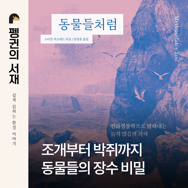 동물들처럼. (스티븐 어스태드 지음. 김성훈 옮김. 윌북)