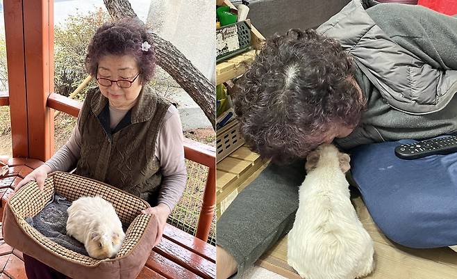 아뉴를 매우 아끼며 돌보시는 할머니(보호자 제공) ⓒ 뉴스1