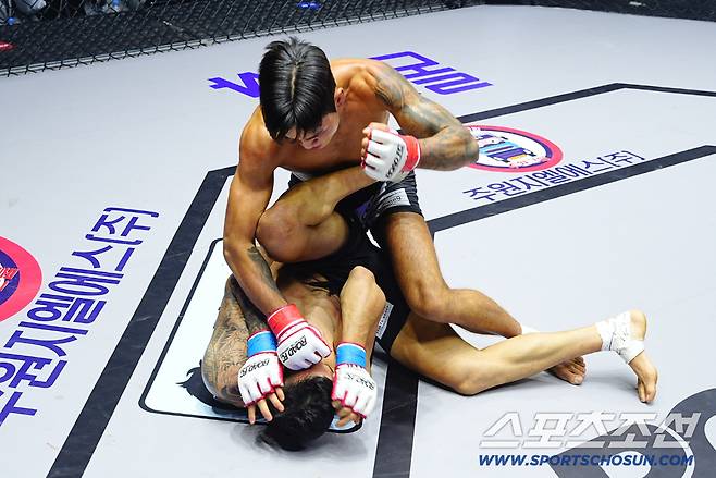 박시원이 페레이라에게 파운딩을 날리고 있다. 사진제공=로드FC