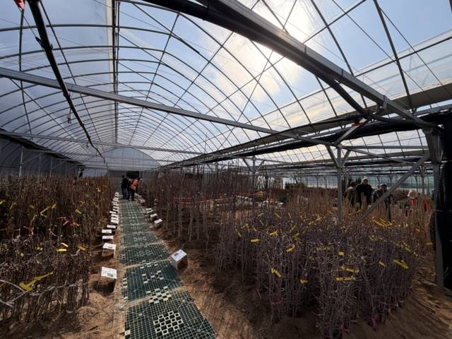 ▲ 춘천시산림조합 나무전시판매장이 13일부터 춘천시 동면 만천리 527-2번지에 개장됐다.