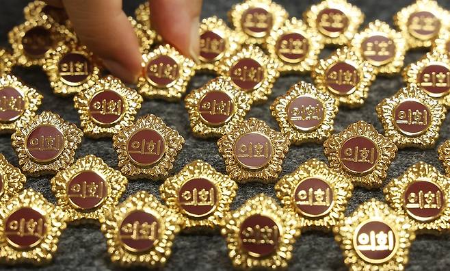 지방의회 의원 배지. 연합뉴스