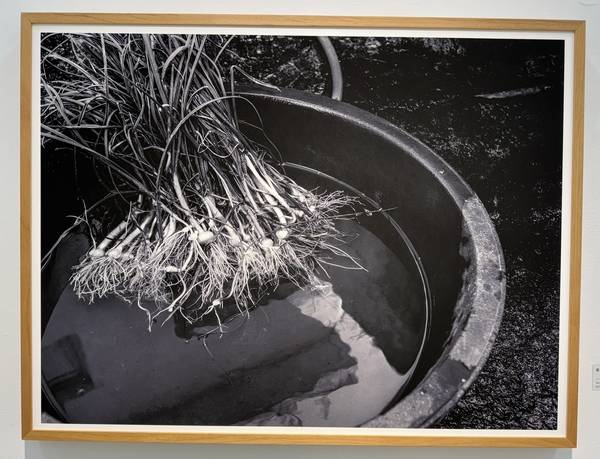 서은미 作 전(前), 2020, Archival Pigment Print, 80×60㎝. /박경호기자 pkhh@kyeongin.com