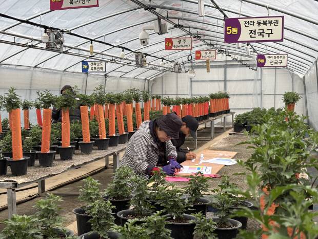 지난 14일 함평군 농업기술센터 교육장에서 제22기 대한민국 국화동호회 분재교육이 개강한 가운데 회원들이 분양된 국화 품종을 살피고 있다. 함평군 제공