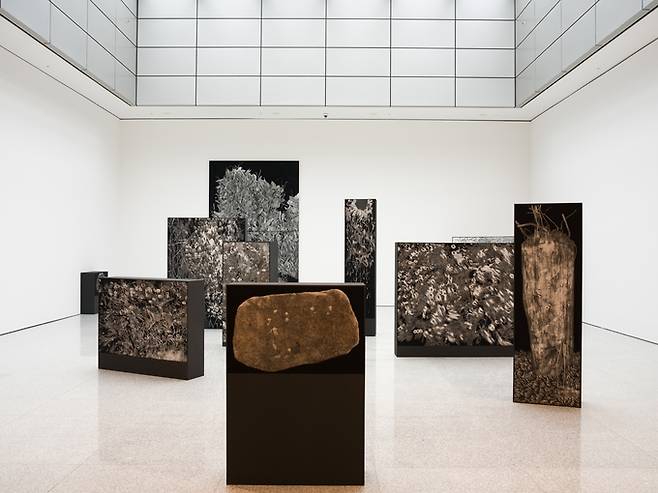 ▲ 서화무진 전시 전경