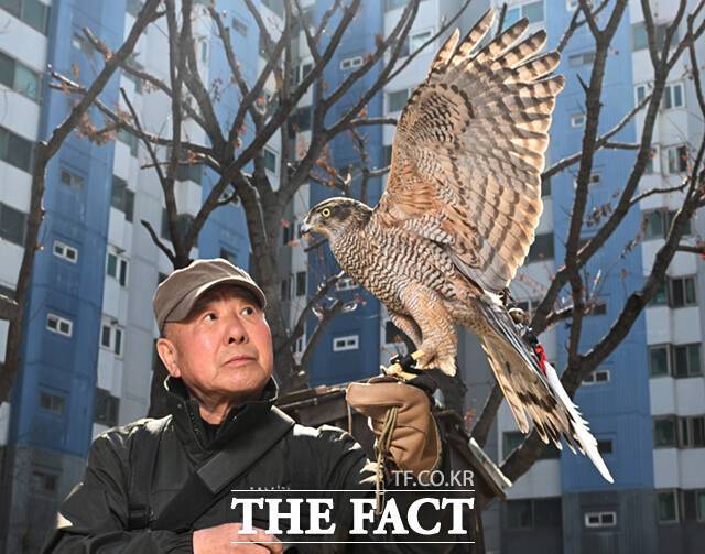 서울에서 유일한 매사냥 이수자인 이옥천 씨가 12일 서울 도봉구 자신의 집 앞 공원에서 참매 '다래'와 포즈를 취하고 있다. /이새롬 기자
