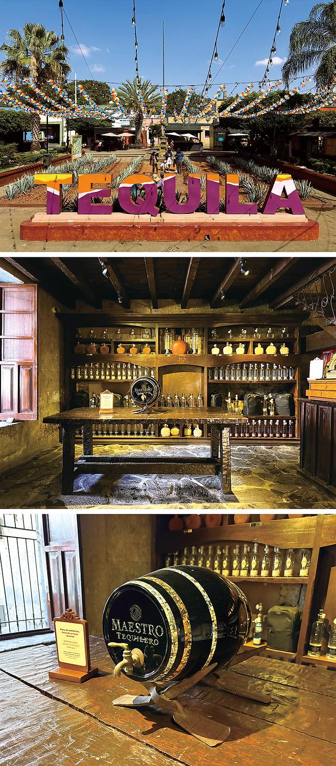 (위) 테킬라 마을 중심부 전경, (아래) 멕시코산 오크통에서 숙성시킨 최초의 테킬라를 선보인 마에스트로 증류소