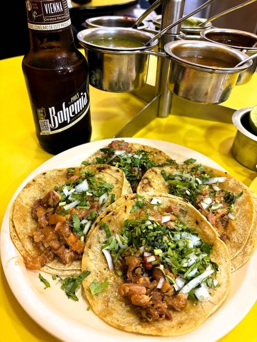 멕시코에 왔음을 실감케 한 로컬 식당의 타코