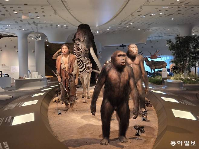 개편을 마치고 재개관한 상설전시실 모습. 연천=이지윤 기자 leemail@donga.com