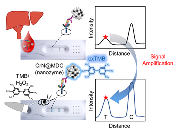 효소 모방 유무기 나노소재를 접목한 POC 기반 간암 진단 키트 작동의 예시를 보여주고 있다.