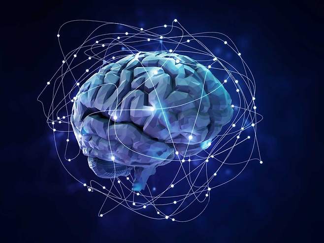 BCI는 뇌에서 발생하는 신경 신호를 실시간으로 수집·분석해 컴퓨터 등 외부 기기를 제어하는 기술이다./사진=클립아트코리아