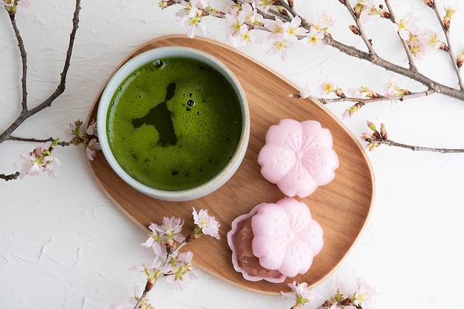 일본식 녹차. 게티이미지뱅크