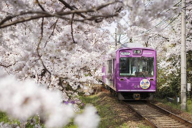 기사 이해를 돕기 위한 사진. 클립아트코리아