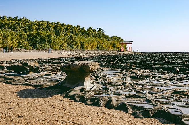 도깨비가 앉아서 쉴 것 같은 독특한 지질