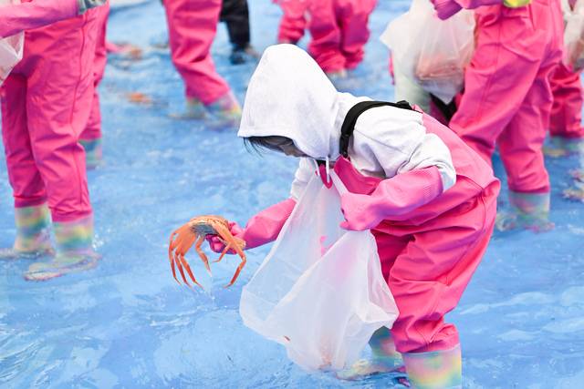 지난해 영덕대게축제 대게체험 장면. 사진제공 영덕군