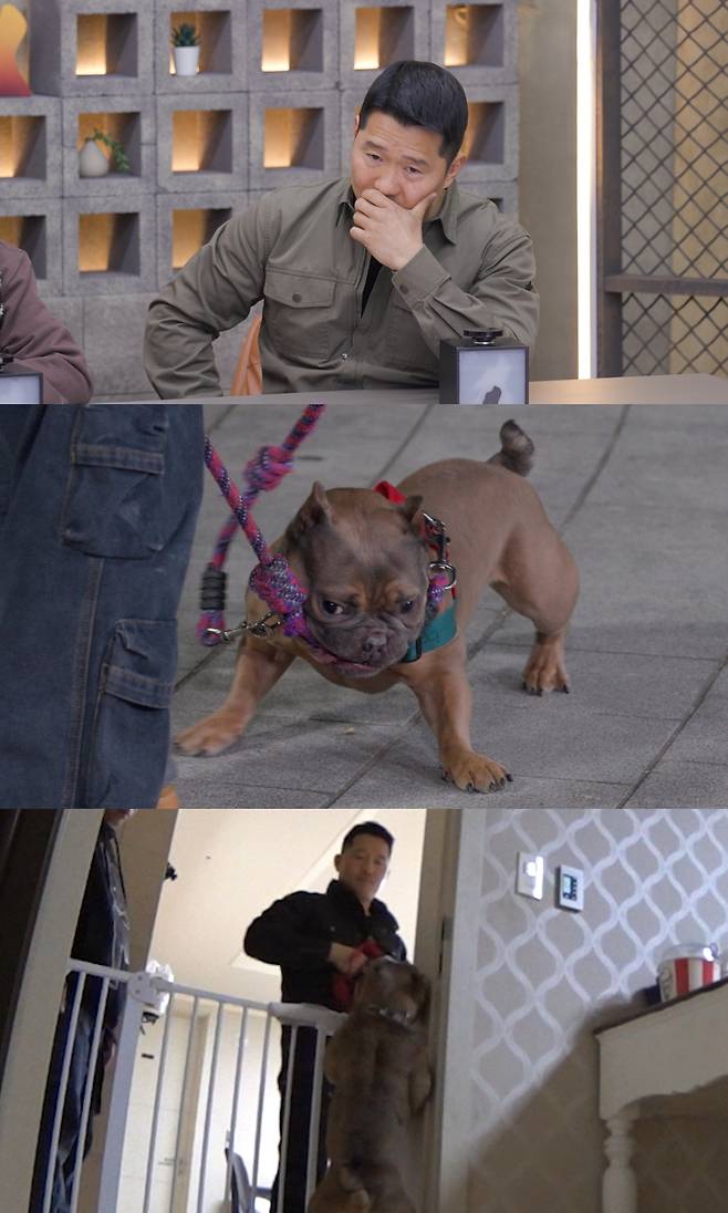 채널A ‘개와 늑대의 시간2’