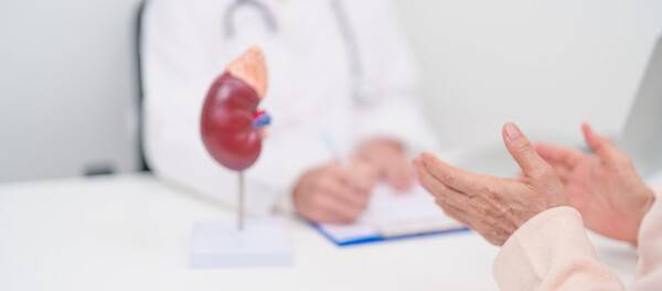 사진 게티이미지뱅크