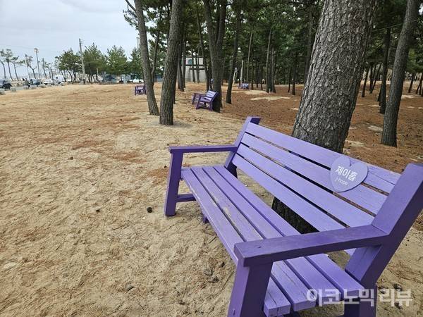 주문진 향호해변 주변에는 BTS의 상징색인 보라색 벤치가 곳곳에 설치돼 있다. 사진=최은총 이코노믹리뷰 기자
