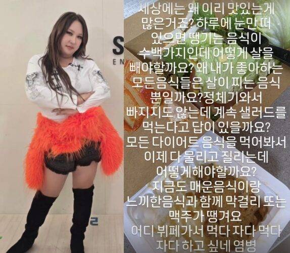 풍자가 다이어트 고충을 토로했다. 사진=풍자 인스타그램