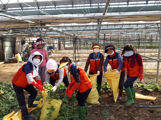 ▲ 회원들과 자원봉사 활동을 펼치는 모습.