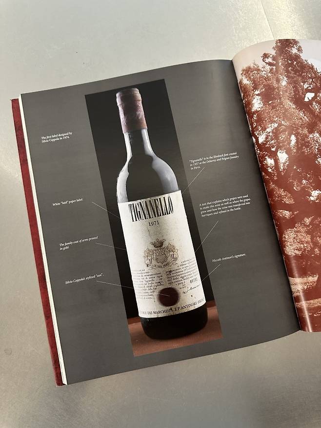 피에로 안티노리 책에 실린 티냐넬로 1971 빈티지.