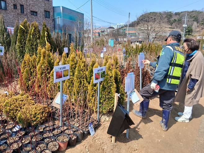 당진시산림조합이 나무시장을 운영하고 있다.(사진=박승군 기자)