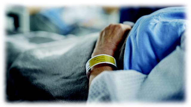 /클립아트코리아/